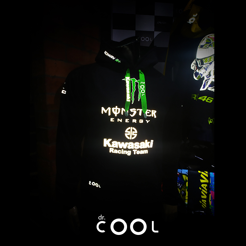 Buso Monster kawasaki racing team - Imagen 3